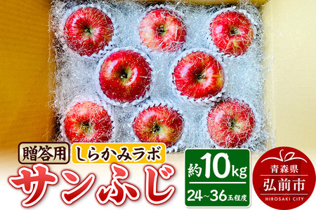 y25N12`z Tӂ p 10kg 炩݃{