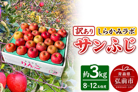 [25年12月〜発送]りんご サンふじ[訳あり]約3kg しらかみラボ
