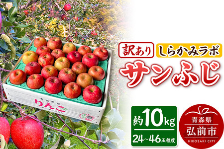 y25N12`z Tӂy󂠂z10kg 炩݃{