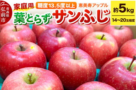 y25N12`z yx13.5xȏzTӂ 5kg tƂ炸 X t[c ʕ