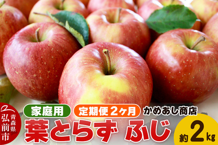 y25N12zs2t tƂ炸 ӂsƒpt2kg S[h_