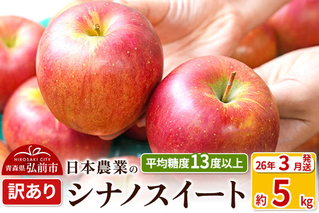 y26N3z ϓx13xȏI VimXC[g 5kg 󂠂 N[ X ʕ t[c ь S  s KiO