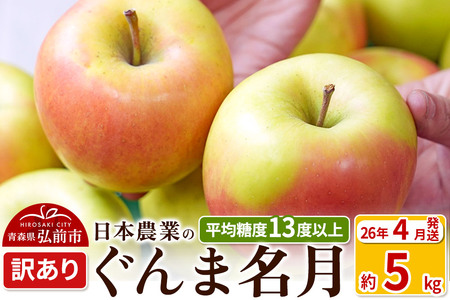 y26N4z ϓx13xȏI ܖ 5kg 󂠂 CA N[ X ʕ t[c ь S  s KiO