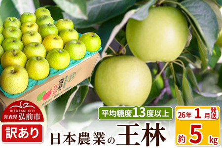 y26N1z ϓx13xȏI  5kg 󂠂 X ʕ t[c ь S  s KiO