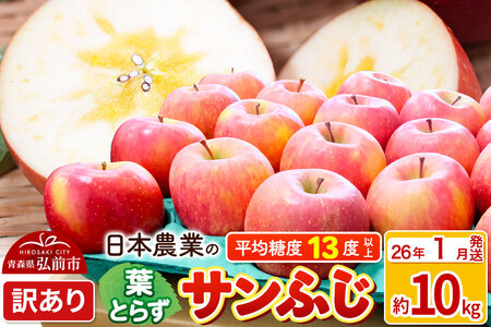 y26N1z ϓx13xȏI tƂ炸Tӂ 10kg 󂠂 X ʕ t[c ь S  s KiO