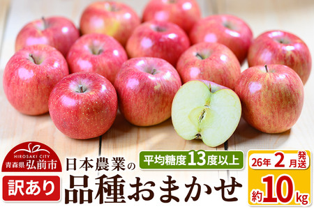 y26N2z ϓx13xȏI i킨܂ 10kg 󂠂 X ʕ t[c ь S  s KiO