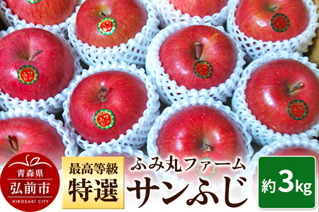 y25N12z ӂ݊ۃt@[ ōuIv Tӂ 3kg X OO ь S ԐF