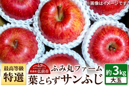 [25年12月発送]りんご 最高等級「特選」大玉 葉とらず サンふじ 約3kg 糖度14度以上 青森 弘前 林檎 リンゴ 赤色