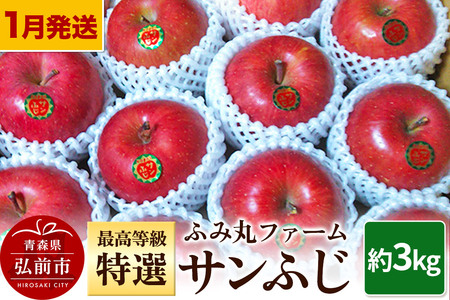 【26年1月～発送】りんご ふみ丸ファーム 最高等級「特選」サンふじ 約3kg