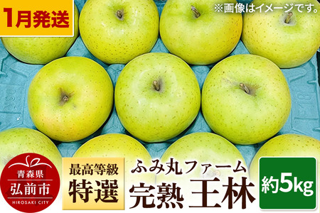 【26年1月～発送】りんご ふみ丸ファーム 最高等級「特選」完熟 王林 約5kg