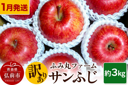 [26年1月〜発送]りんご ふみ丸ファーム[訳あり]サンふじ 約3kg