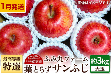 [寄附金額見直しました][26年1月〜発送]りんご 最高等級「特選」大玉 葉とらず サンふじ 約3kg 糖度14度以上 林檎 リンゴ 果物 くだもの フルーツ 青森