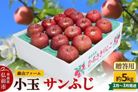 [寄附金額見直しました][26年2月〜発送]りんご サンふじ[贈答用]約5kg 小玉 森山ファーム [サンふじ りんご 贈答 おもてなし 小玉 果物 フルーツ 林檎 リンゴ くだもの 森山ファーム 青森県 弘前市]
