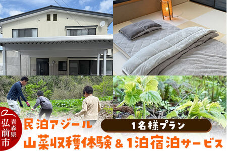 [寄附金額見直しました]宿泊 民泊アジール 山菜収穫体験&1泊宿泊サービス 1名様プラン レターパックライト 青森県