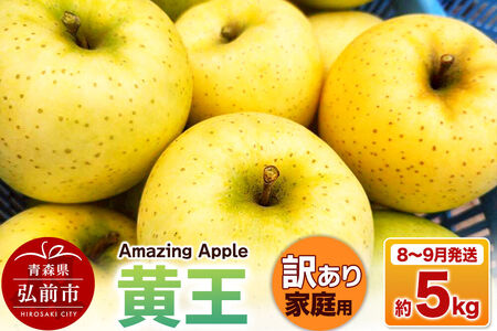 [寄附金額見直しました][26年8月下旬〜9月発送]りんご 黄王[訳あり]家庭用 約5kg