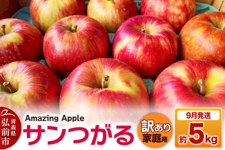 [寄附金額見直しました][26年9月発送]りんご サンつがる[訳あり]家庭用 約5kg