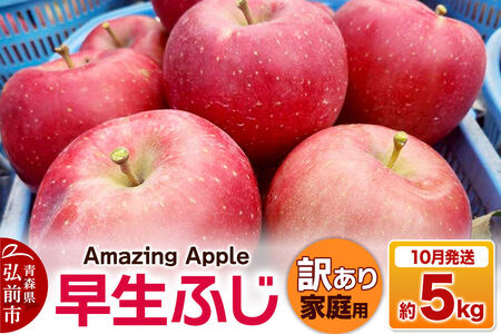 [寄附金額見直しました][26年10月発送]りんご 早生ふじ[訳あり]家庭用 約5kg