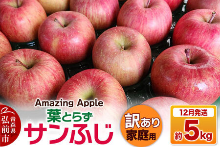 [26年12月発送]りんご 葉とらずサンふじ[訳あり]家庭用 約5kg