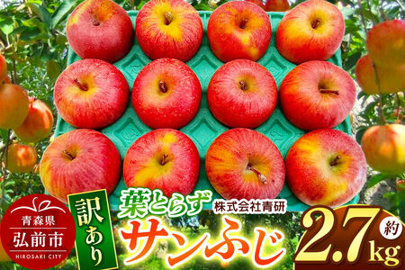 [寄附金額見直しました][26年4月〜5月クール便発送]りんご 葉とらず サンふじ[訳あり]約2.7kg[スマートフレッシュ加工]青森 果物 フルーツ 林檎 リンゴ くだもの 不揃い 規格外