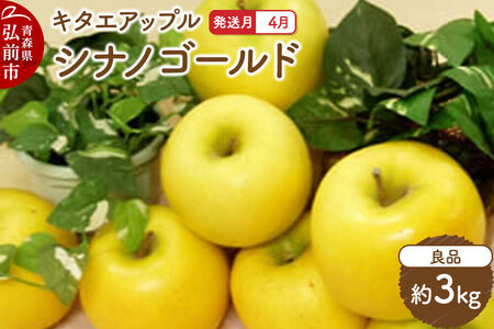[26年4月クール便発送]りんご シナノゴールド[良品]約3kg[CA貯蔵]キタエアップル
