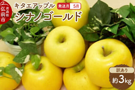 [26年5月クール便発送]りんご シナノゴールド[訳あり]約3kg[CA貯蔵]キタエアップル