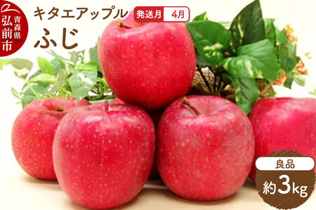 [26年4月クール便発送]りんご ふじ[良品]約3kg[CA貯蔵]キタエアップル