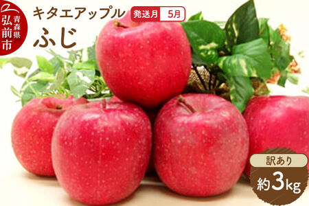 [26年5月クール便発送]りんご ふじ[訳あり]約3kg[CA貯蔵]キタエアップル