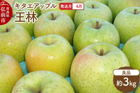 [26年4月クール便発送]りんご 王林[良品]約3kg[CA貯蔵]キタエアップル