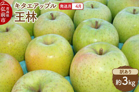 [26年4月クール便発送]りんご 王林[訳あり]約3kg[CA貯蔵]キタエアップル