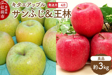 [26年4月クール便発送]りんご サンふじ･王林[良品]約3kg[CA貯蔵]キタエアップル