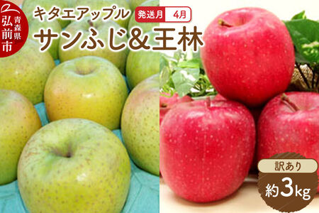[26年4月クール便発送]りんご サンふじ･王林[訳あり]約3kg[CA貯蔵]キタエアップル