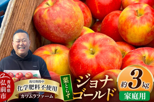 [26年10月発送]りんご 葉とらず ジョナゴールド[家庭用]約3kg カワムラファーム 青森県 弘前市