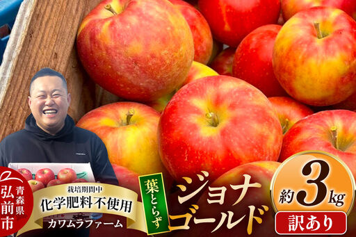[26年10月発送]りんご 葉とらず ジョナゴールド[訳あり]約3kg カワムラファーム 青森県 弘前市