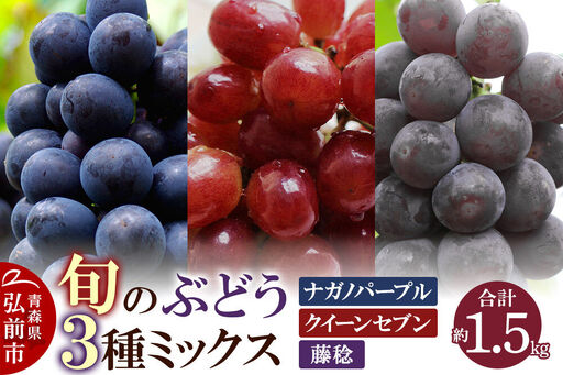[26年8月下旬〜発送]ぶどう 旬のぶどう3種ミックス 約1.5kg(ナガノパープル、クイーンセブン、藤稔)まもる農園 青森県 弘前市