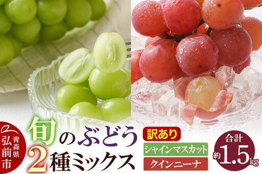 [26年10月〜発送]ぶどう[訳あり]旬のぶどう2種ミックス 約1.5kg(シャインマスカット、クインニーナ)まもる農園 青森県 弘前市