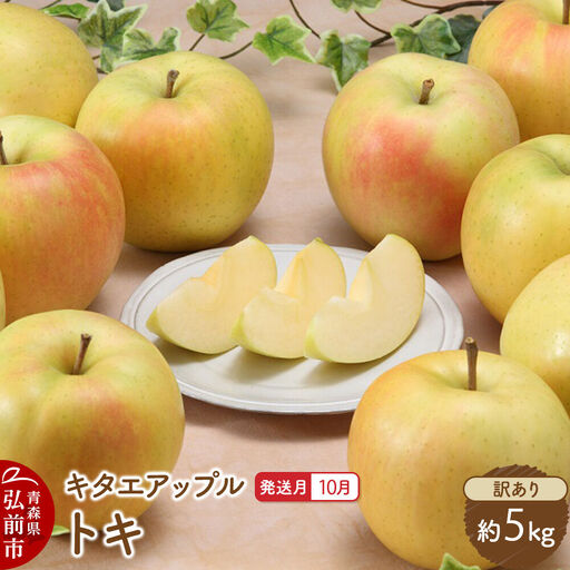 [26年10月発送]りんご トキ[訳あり]約5kg キタエアップル 青森県 弘前市
