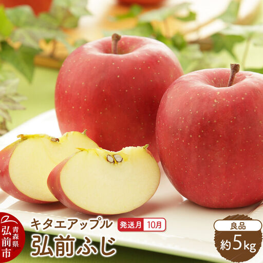 [26年10月発送]りんご 弘前ふじ[良品]約5kg キタエアップル 青森県 弘前市