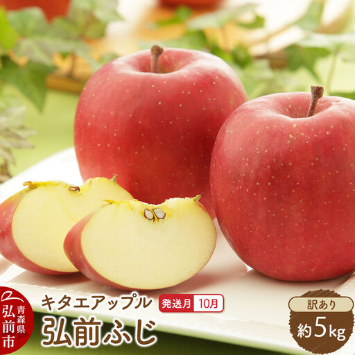 [26年10月発送]りんご 弘前ふじ[訳あり]約5kg キタエアップル 青森県 弘前市