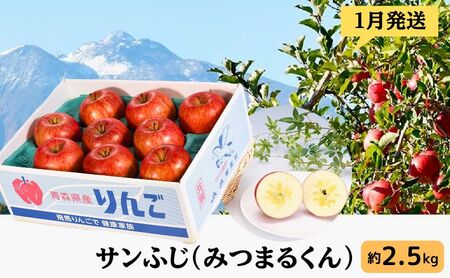 りんご 【 1月発送 】 サンふじ （ みつまるくん ）約 2.5kg 糖度13度以上 【 弘前市産 青森りんご  果物類 林檎 リンゴ  】