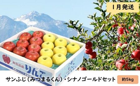 りんご [ 1月発送 ] 蜜入り サンふじ ( みつまるくん ) シナノゴールド セット 約 5kg [ 弘前市産 青森りんご 果物類 林檎 リンゴ ]