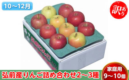 りんご [10〜12月発送] 訳あり 弘前産りんご 詰め合わせ 2〜3種 家庭用 9〜10個[ 弘前市産 青森りんご ] 果物類 林檎 リンゴ