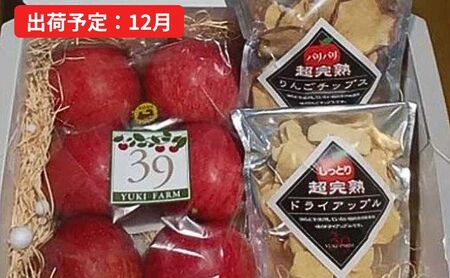 りんご [ 数量限定 ]12月発送 雪完熟ギフトセット(「特選」 弘前産 サンふじ 6個入・りんごチップス・ドライアップル)[ 弘前市産 青森りんご ] 果物類 林檎 リンゴ