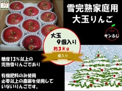 りんご [ 数量限定 ]12月発送 訳あり 雪完熟 家庭用 蜜入り 糖度13度以上 大玉 サンふじ 約3kg 9個入り[ 弘前市産 青森りんご ] 果物類 林檎 リンゴ