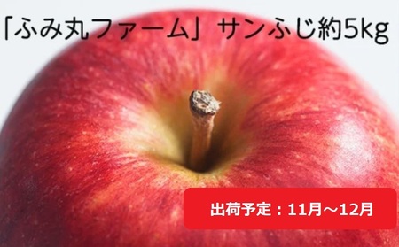 11月〜12月発送 ふみ丸ファーム 最高等級「特選」 サンふじ 約5kg [ 弘前市産 青森りんご ]※オンライン決済のみ