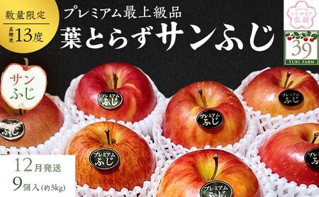 りんご [ 数量限定 ]12月発送 蜜入り 糖度13度以上 「特選」 プレミアム 葉とらずサンふじ 約 3kg 9個入り[ 弘前市産 青森りんご ] 果物類 林檎 リンゴ