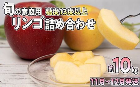 【年内発送】旬の家庭用リンゴ詰め合わせ 約10kg糖度13度以上（24～40玉程度）【弘前市産・青森りんご】