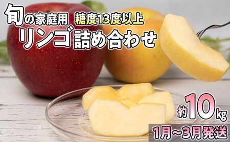 1月～3月発送 家庭用 旬のリンゴ詰め合わせ 約10kg 糖度13度以上【 弘前市産 青森りんご 】 果物類 林檎 フルーツ