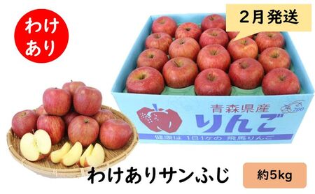 りんご 【 2月発送 】 わけあり サンふじ 約 5kg 【 弘前市産 青森りんご 】