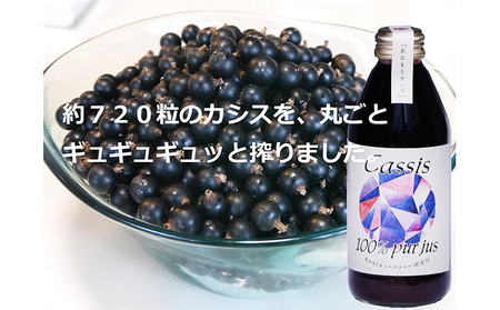 カシス果汁100%ジュース(無加糖・無添加) 250ml×2本