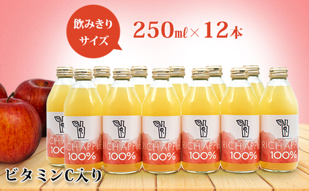 りんごジュース RICH APPLE 12本セット(250ml×12本)